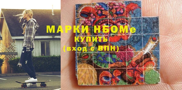 PSILOCYBIN Ельня