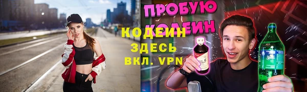 PSILOCYBIN Ельня