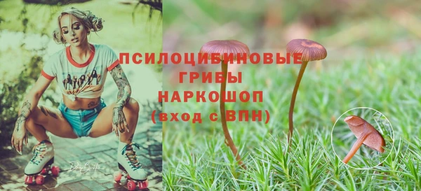 PSILOCYBIN Ельня
