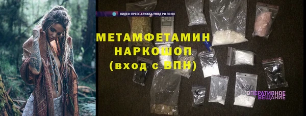 PSILOCYBIN Ельня