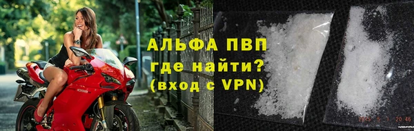 PSILOCYBIN Ельня